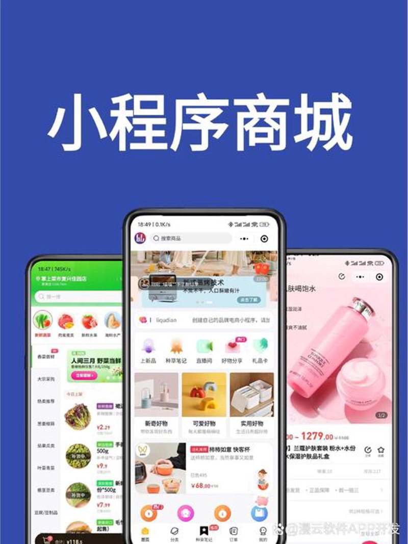 小程序开发引领未来：行业创新与机遇